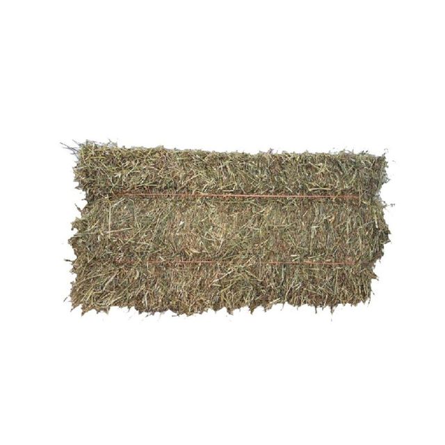 Premium Bulk Timothy Grass for Animal Feed Timothy Grass Fresh Hay Rich in Nutrients Protein and Fiber for Healthy Animals - Image 4