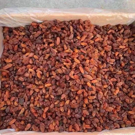 Wholesale 2025 Crop Dryed Fruit Raisin - Image 5