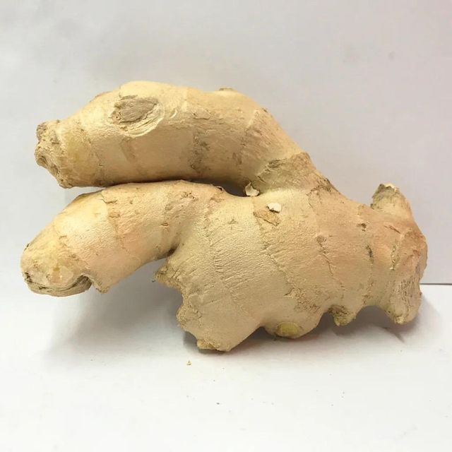 Fresh Ginger Nutrient Rich Harvested Roots Carefully Sorted For Bulk Supply And Long Distance Export Distribution - Image 4