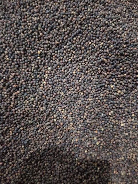 Export Quality Wholesale Black Pepper, Naturally Dried and Professionally Processed from Superior Peppercorns for Maximum Purity, Bold Taste, Rich Essential Oils, and Long-Term Freshness, Perfect for Seasoning, Food Processing, Spice Manufacturing, Commercial Kitchens, and Worldwide Bulk Supply - Image 3