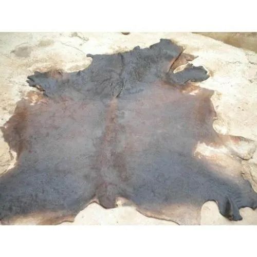 Donkey Hides, Clean and Premium Grade, Cheap Bulk Wholesale Prices - Image 4