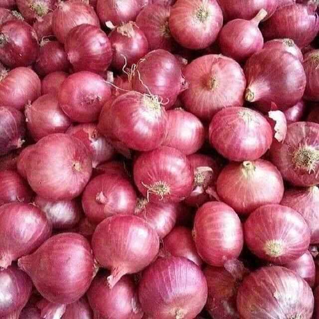 Natural Delicious Food Grade Widely Selling Fresh Red Onion for Bulk Purchase - Image 2