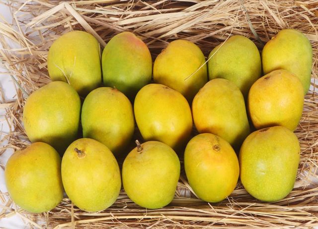High Quality 100% Natural Alphonso Mango-Fresh Organic Yellow 5-10 KG/Carton Wholesale Delicious Sweet - Image 4