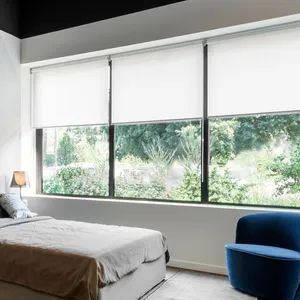 Transparent Horizontal Roller Blinds Kind Slat Origin China Style Modern Model NO. RB-009 Open Type Manual Trademark - Image 5