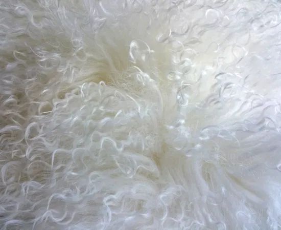 Unique Tibetan Skin Fabric Cushion - Image 1