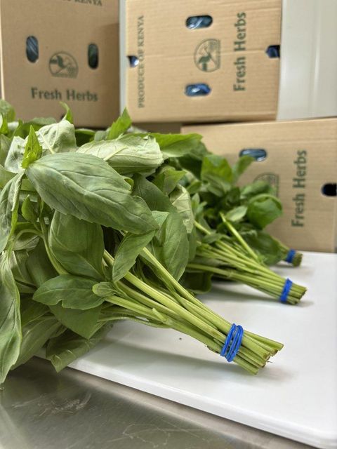 Green basil - Image 5