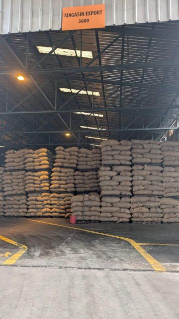Used Jute Bags - Image 2