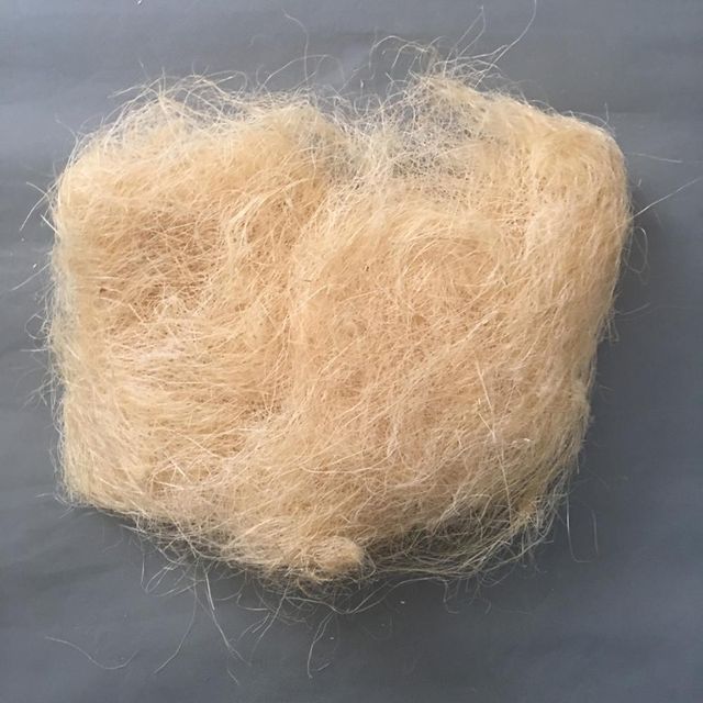 High Density Sisal Fiber For Industrial Fabrication Premium Sisal Fiber Direct Producer Source - Image 4