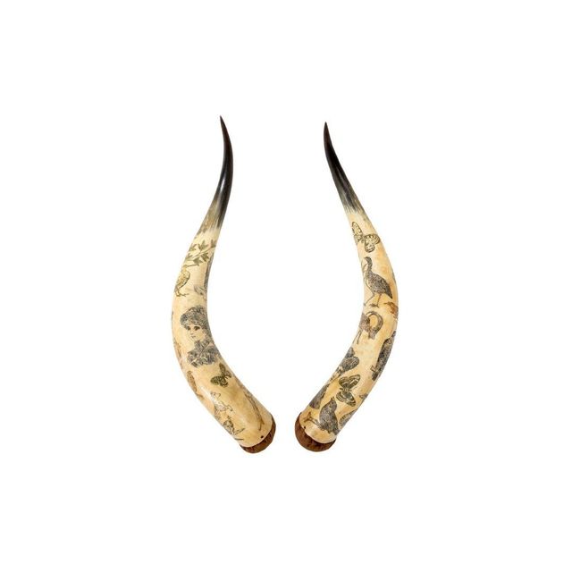 Premium quality cow horn offered at factory price for wholesale buyers - Image 1