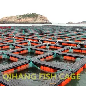 Carp Fish Farming, Catfish Farming Equipment for Sale - Image 3