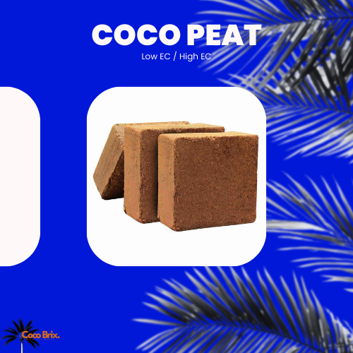 Eco-Friendly Natural Coco Peat Blocks - Image 2