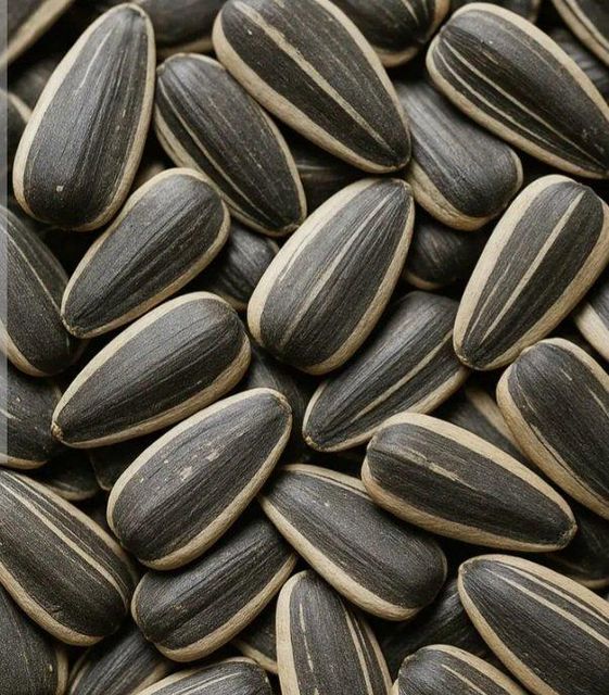 Sunflower seeds - Image 2
