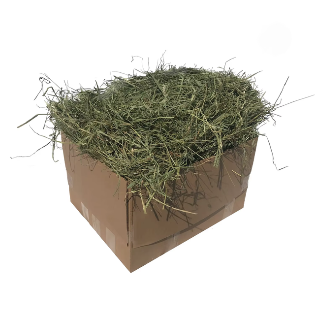 Pure Fresh Alfalfa Hay Delivered Quickly Alfalfa Hay Ideal For Healthy Feeding And Bulk Buying - Image 3