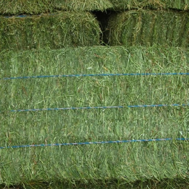 Premium Timothy Hay For Rabbits And Small Pets High Fiber Timothy Hay 100% Natural Fresh Green Hay For Daily Feeding - Image 3