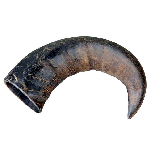 Horn Dog Chew - Image 5