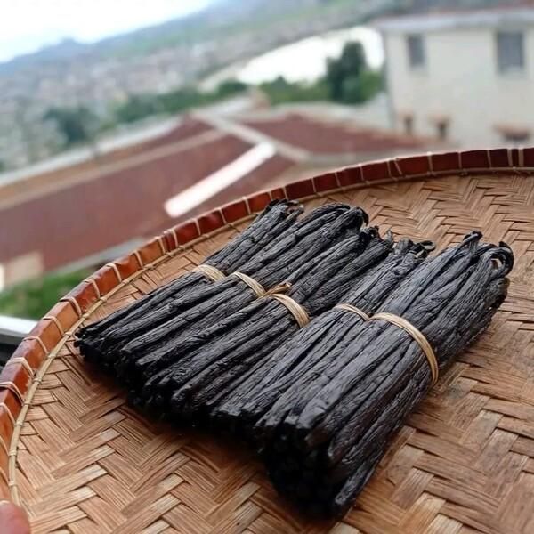 Vanilla beans Grade A Packaging According to buyer - Image 1