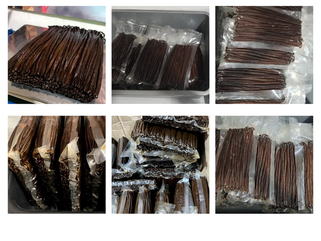 Indonesian Gourmet Super Premium Vanilla Beans – Vanilla planifolia, 19–21 cm CIF - Image 4