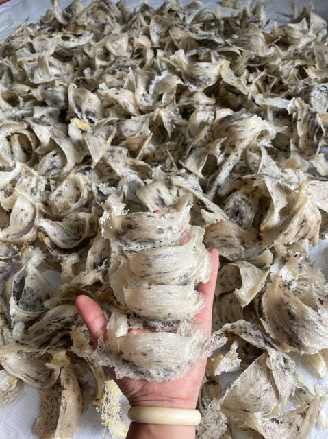 High Quality Natural Collagen swallow Bird's Nest Real Edible Round Bird Nest from Vietnam - Image 6