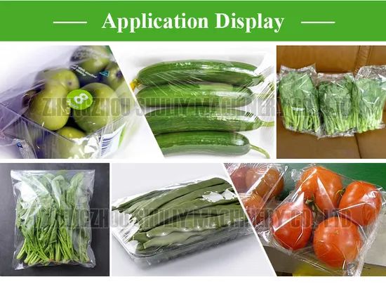 Alfafla Sprouts, Watercress, Lettuce Washing and Drying Machine - Image 6