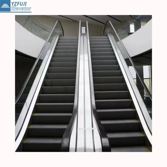 New Design Electrical High Speed Sidewalk Moving Walks Ecalatoer - Image 6