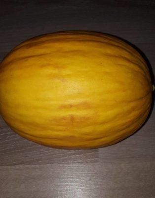 Fresh Melon Yellow Premiuem canary Grade A Organic Yes Freshness Level Fresh Place of Origin Algeria Packaging Size > 5 kg to 10 kg - Image 3