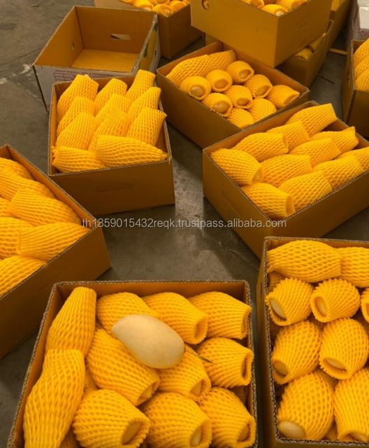 High Quality Premium Fresh MANGO from Manufacture and Exporter from Thailand - Image 1
