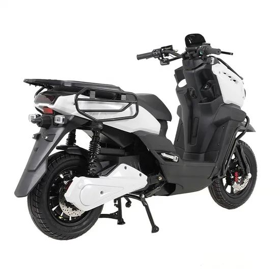 Tank Electric Motorcycle with 12t/40A Controller and Front/Rear Disc Brakes - Image 4