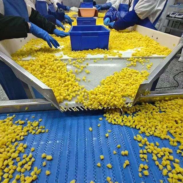 sell china factory IQF Yellow Peach Dices Frozen Peach Dices guohai foods frozen fruits - Image 3