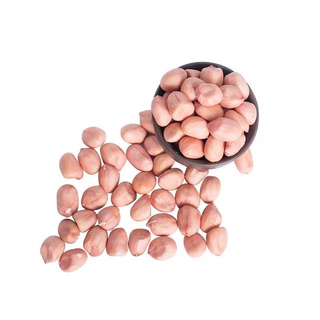 Wholesale Peanuts bulk supply affordable price fresh high quality - Image 4