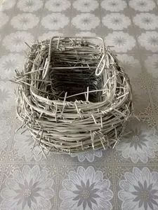 Galvanized Barbed Wire Razor Barbed Wire Fence Iron Barbed Wire - Image 2
