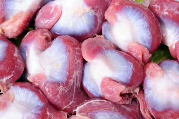 Frozen Halal Chicken Gizzards – Cleaned, Bulk Packed, Grade A, Halal Certified - Image 3