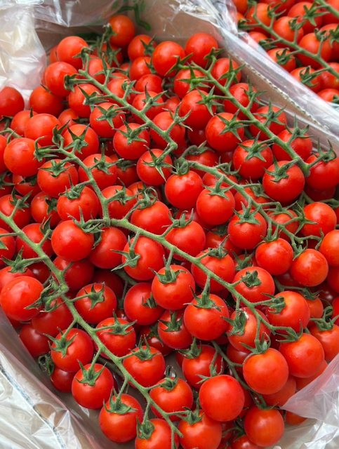 Uniform Size,Rich flavor, and Extended Freshness Cherry Tomatoes 250g,15kg Premium Fresh Edible Cherry Tomatoes - Image 3