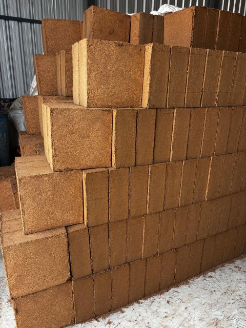 Coco Coir - Image 4