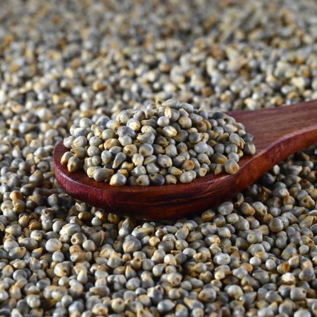 pearl millet Origin India Features Gluten-Free, Lactose-Free, Vegan Product Type Cereal, Cereals & Cereal Products - Image 3