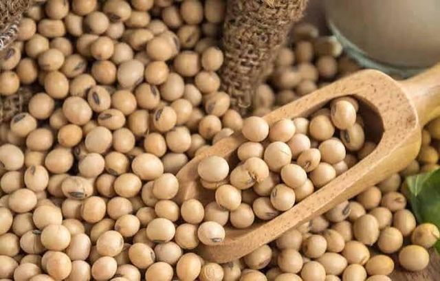 Soybeans Insect Free Guarantee Yes - Image 3