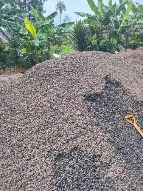 Palm kernel shell - Image 1