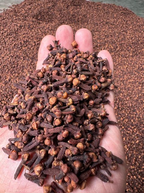 Cloves - Image 1