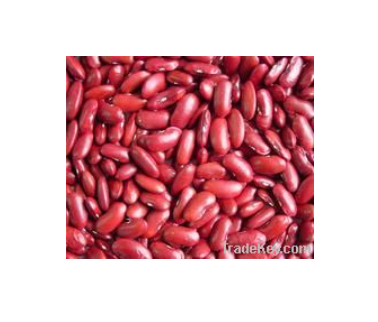 Red Kidney Beans for sale - Image 1