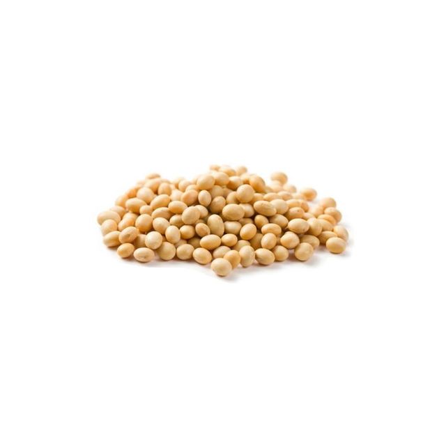 Disease Resistant Soybean Seed Robust And Healthy Soybean Seed Ensuring Stable Yields And Farm Profitability - Image 1