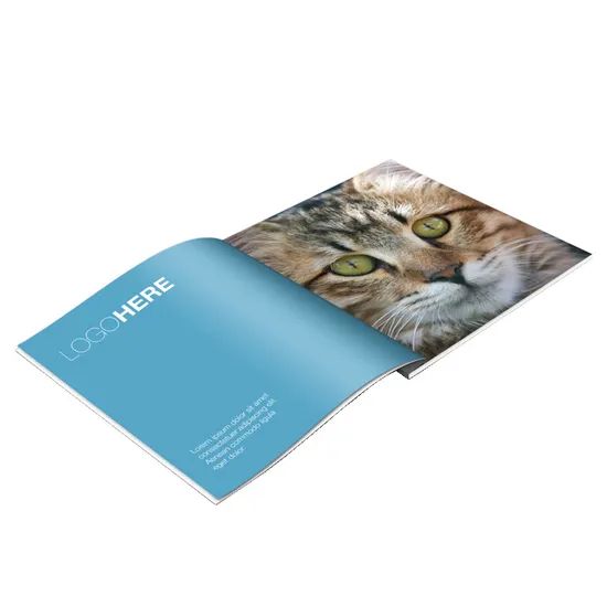 All-in-One Printing Solution for Brochures, Magazines, Catalogs - Full Customization - Image 4