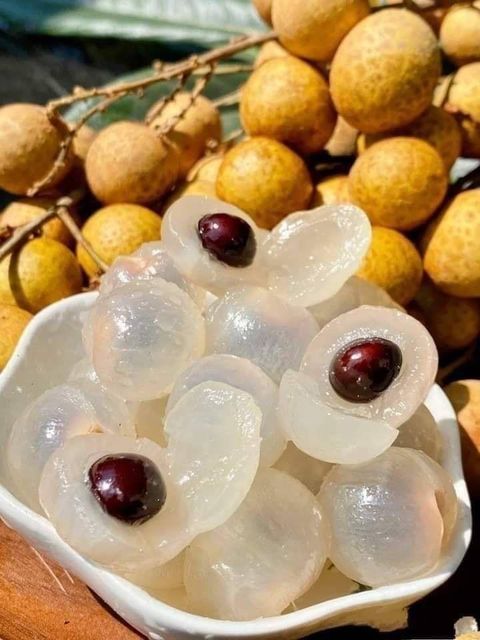 Other Frozen Fruits Ph 2.8-3.4 Brix 12-15 Origin Indonesia Ingredient Purity 100% Texture Smooth, With Seed Shelf Life 24 Months At - Image 5