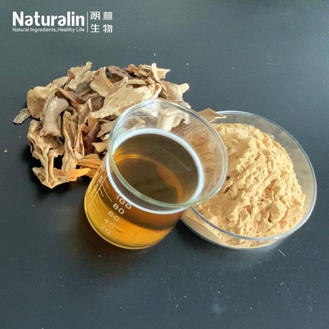 Mushroom Powder Blend - Image 4
