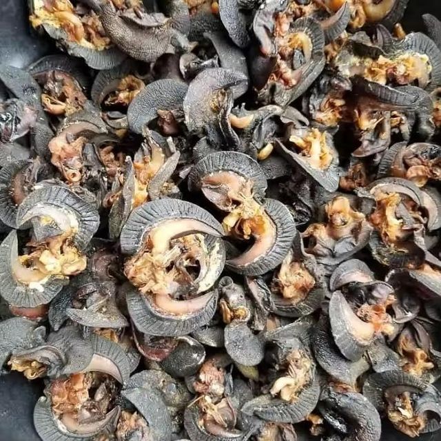 100% High Quality Edible Snails Dries Snails Giant African Land Snails for Sale Dried at Cheap Price - Image 2