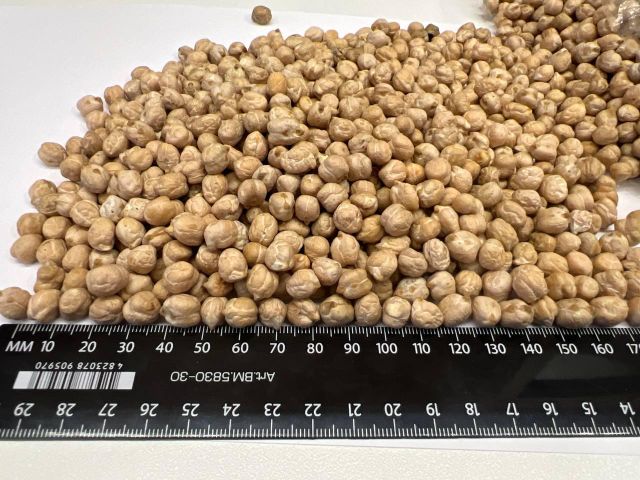 Chickpeas Product Type Legumes Origin European Continent - Image 1
