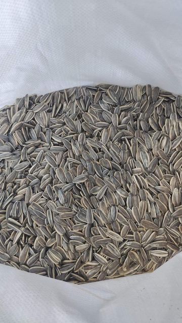 Pulses Zinc 5.5 Mg Iron 4.85 Mg Sodium 0.004 G Calcium 96.8 Mg Magnesium 337.8 Mg Ash 3.41 % +- 0.26 Vitamin B1 862.5 Μg - Image 1