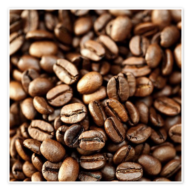 Handpicked Robusta Coffee Bean For Strong Flavor Profile Premium Robusta Coffee Bean For Wholesale Buyers - Image 5