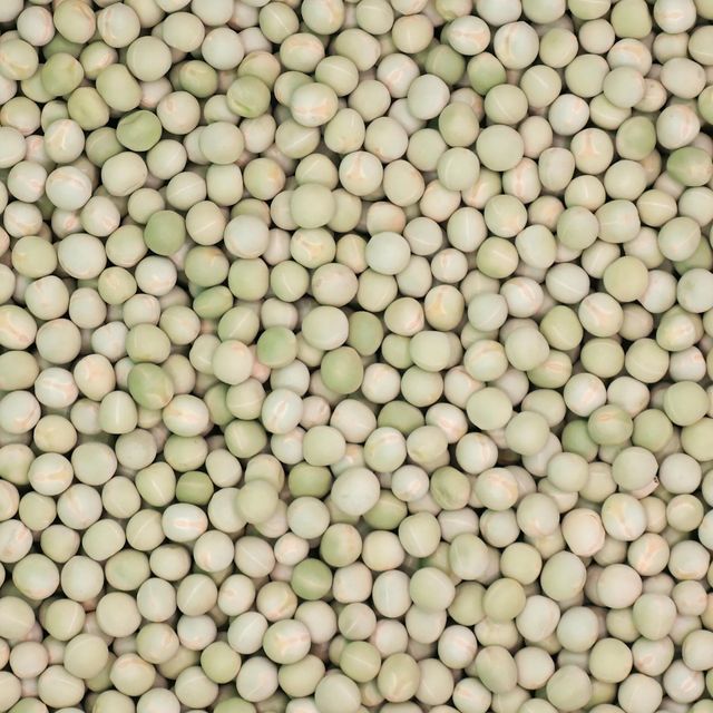 Natural Whole Dried Green Peas Premium Vegetable Ingredient for Curry Soup and Snacks At Unbeatable Price By Supplier - Image 2