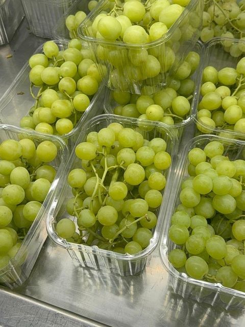 Fresh Thompson Grapes for sale - Image 3