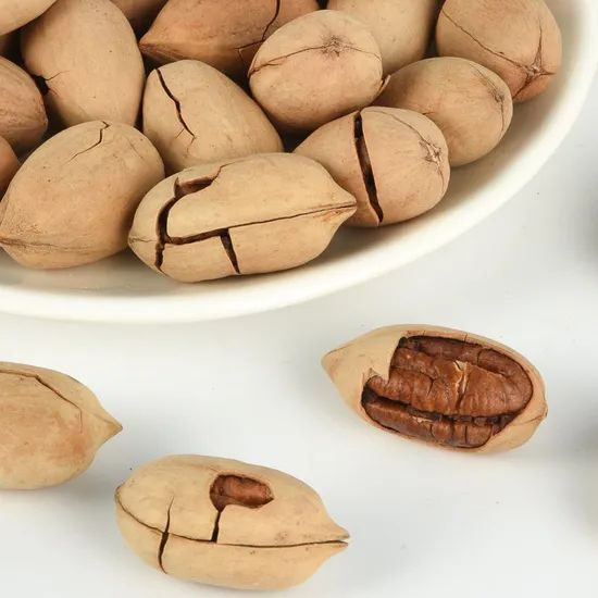 Hot Sales Nutritious High Quality Pecan - Image 6