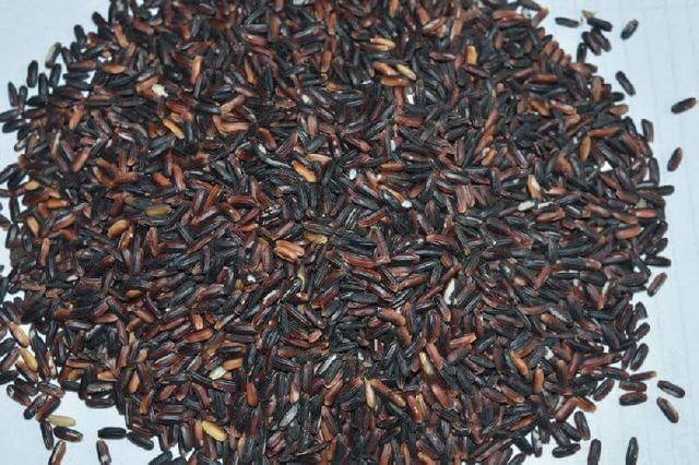 Black Rice - Image 4